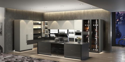 不銹鋼整體櫥柜選森歌,風格迥異,為廚房打造不一樣的視覺盛宴