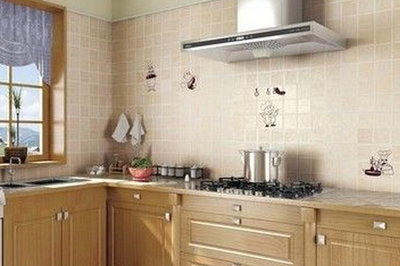 不銹鋼整體廚房:可能真的很美