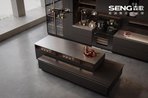 2024不銹鋼廚房整體櫥柜流行趨勢 極簡主義不銹鋼櫥柜設計案例賞析